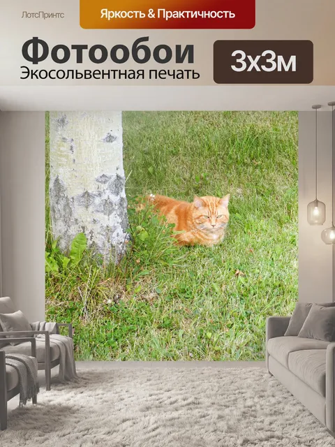 Фотообои Зигги 5 сентября