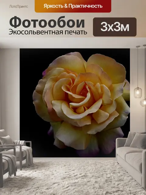 Фотообои Роза
