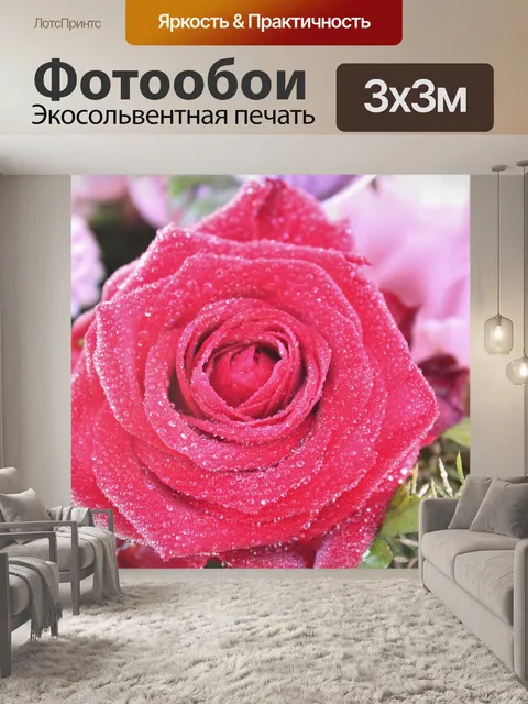 Фотообои Роза