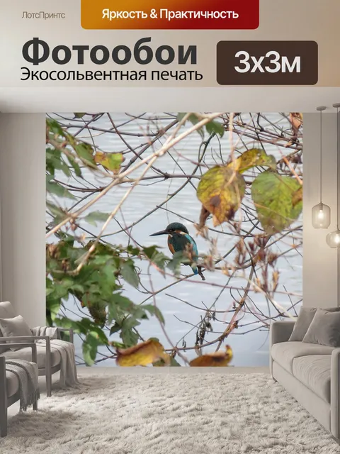 Фотообои Животное