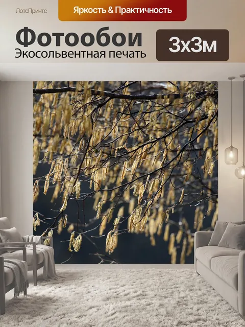 Фотообои Хейзел