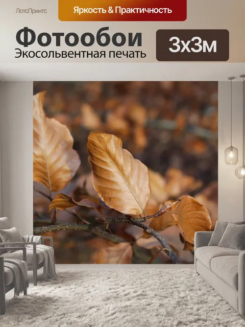 Фотообои Листья