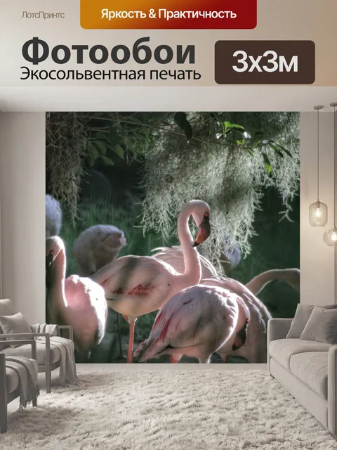 Фотообои Фламинго