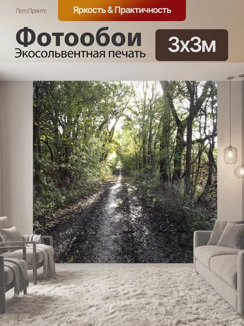 Фотообои Дерево линии