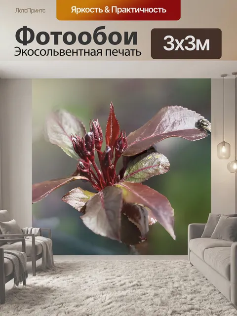 Фотообои Веточка