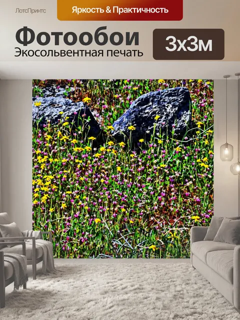 Фотообои Скалы в Wildflower поле