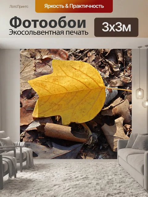 Фотообои Тюльпанное дерево тополя лист