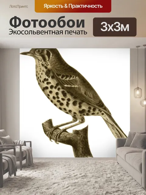 Фотообои Птица
