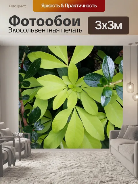Фотообои Листья