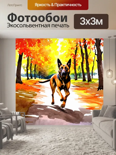 Фотообои бельгийская овчарка малинуа