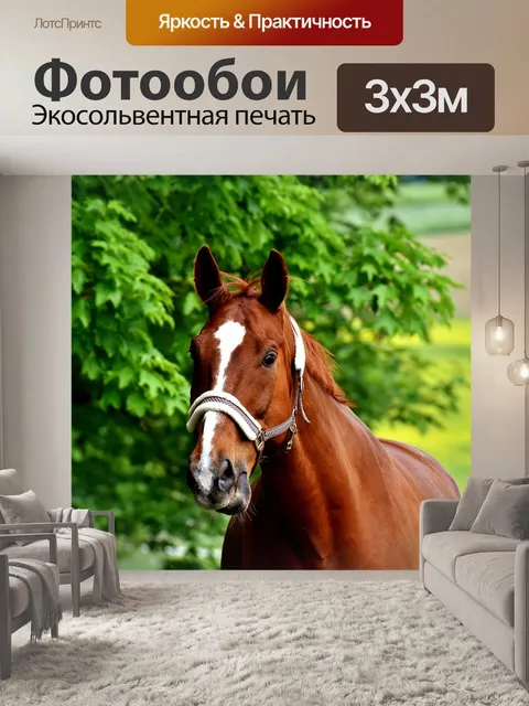 Фотообои Лошадь