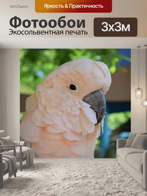 Фотообои Попугай