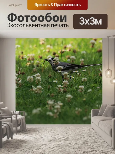 Фотообои Птица