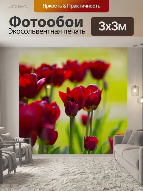 Фотообои Цветы