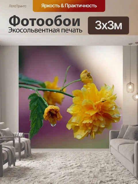 Фотообои Расцветает