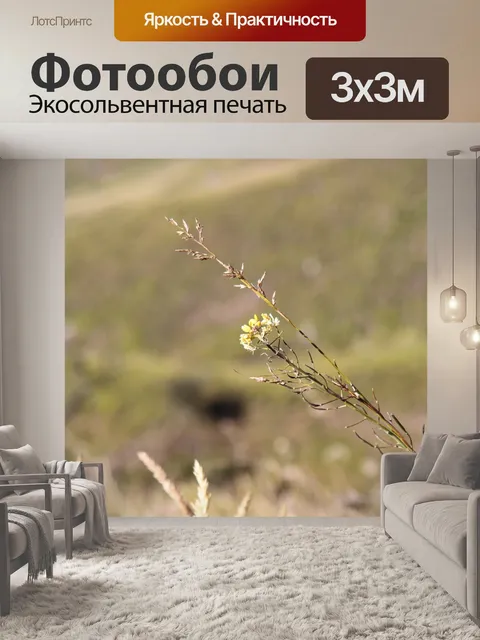 Фотообои Цветы