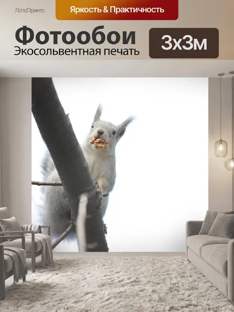 Фотообои Белка