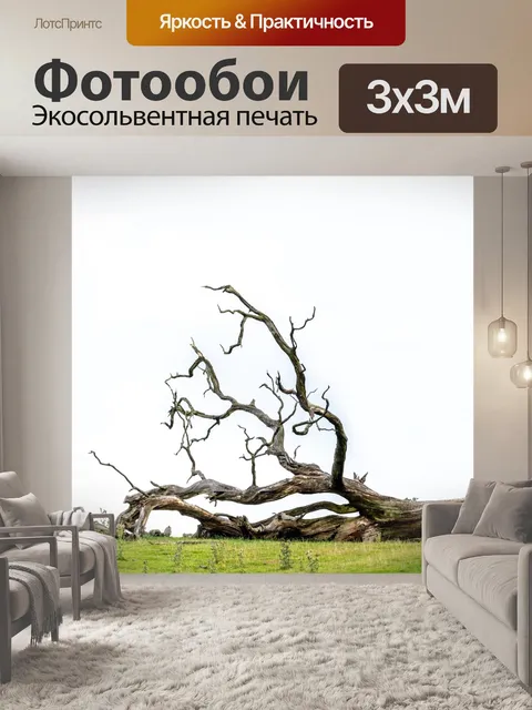Фотообои упавшее дерево