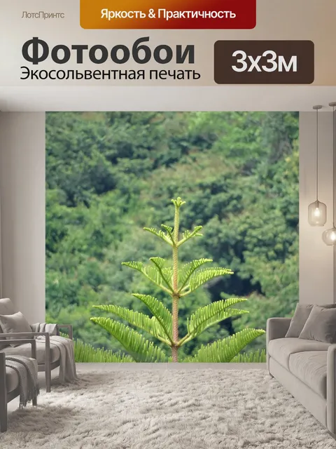 Фотообои Сосны