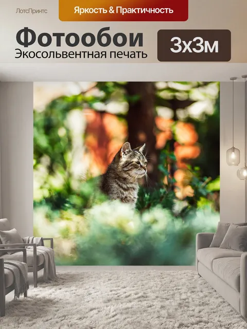 Фотообои Кошка