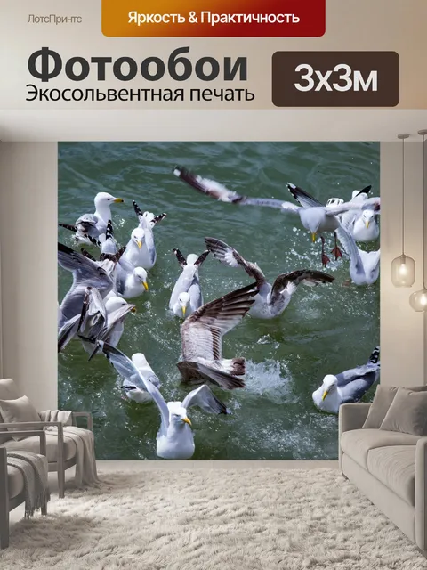 Фотообои Чайки в море