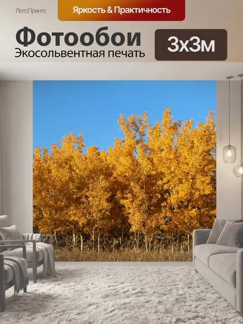 Фотообои Осенние краски