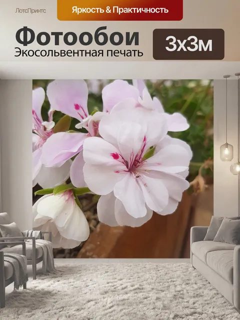Фотообои Цветы