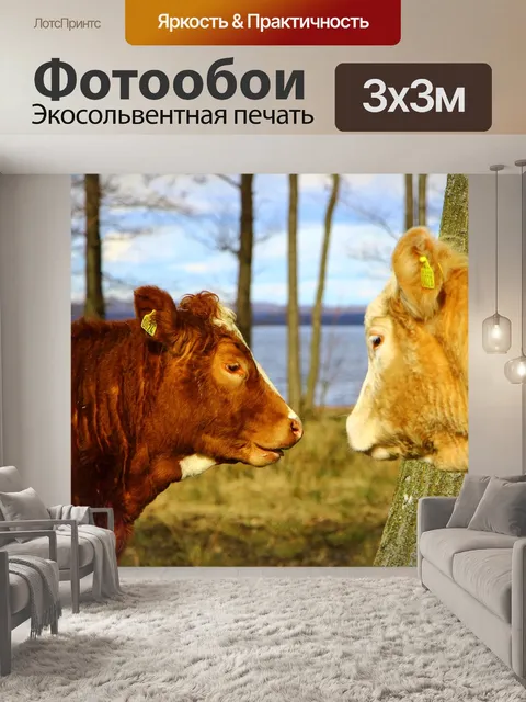 Фотообои Сельская жизнь