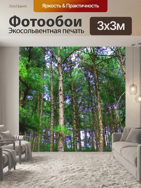 Фотообои Сосновый лес