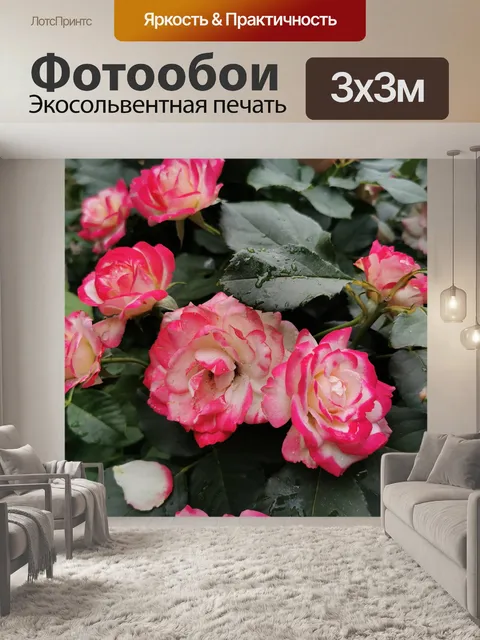 Фотообои Розы
