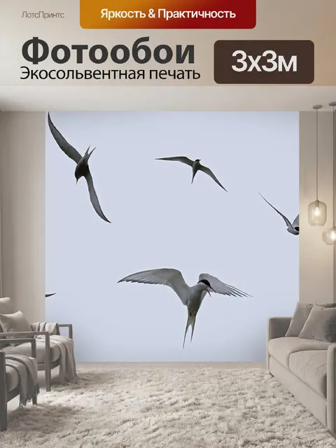 Фотообои Арктические крачки