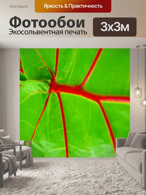 Фотообои Лист