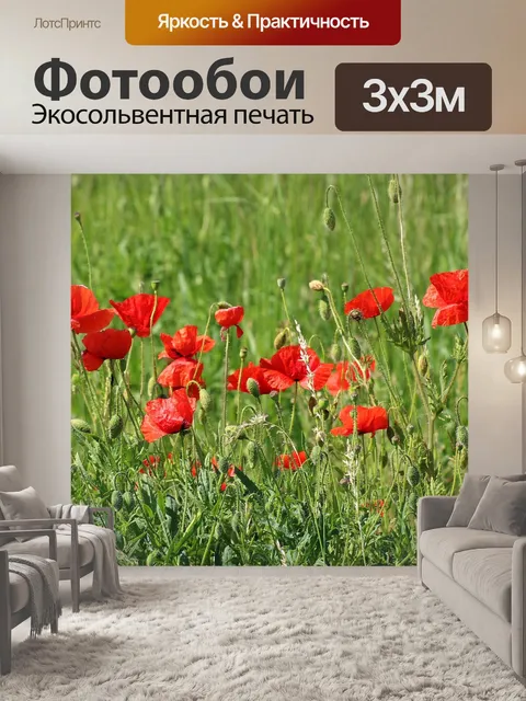 Фотообои Маки