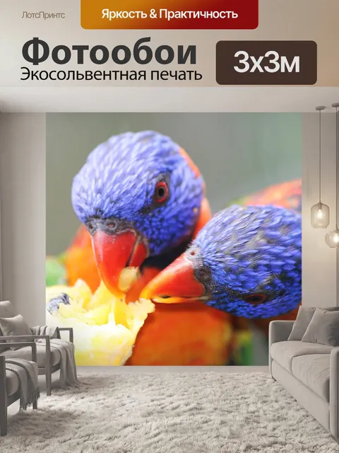 Фотообои Красочный