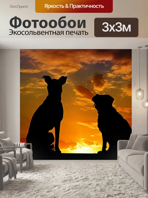 Фотообои Собаки