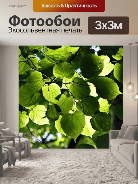 Фотообои Глубина