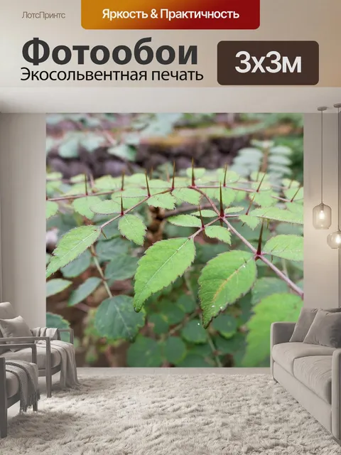 Фотообои Листья