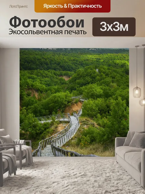 Фотообои Лес