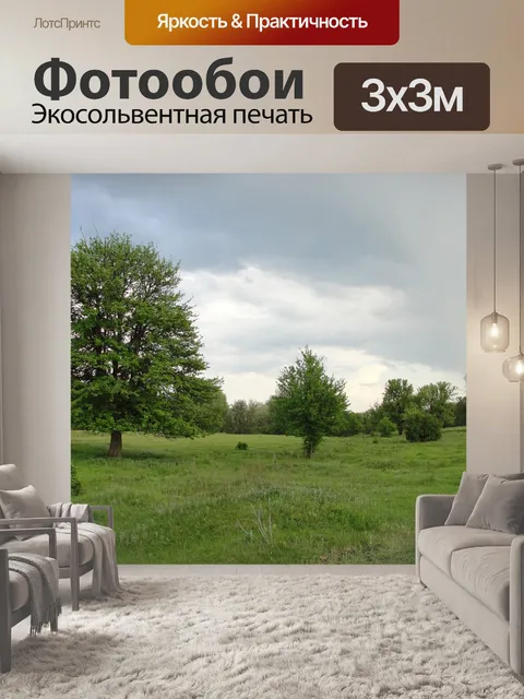Фотообои Поляна