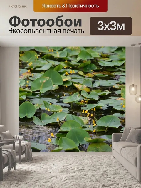 Фотообои Цветы