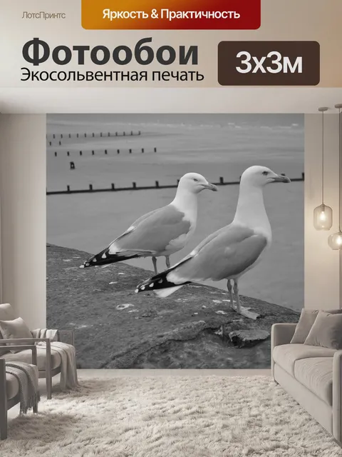 Фотообои Чайки