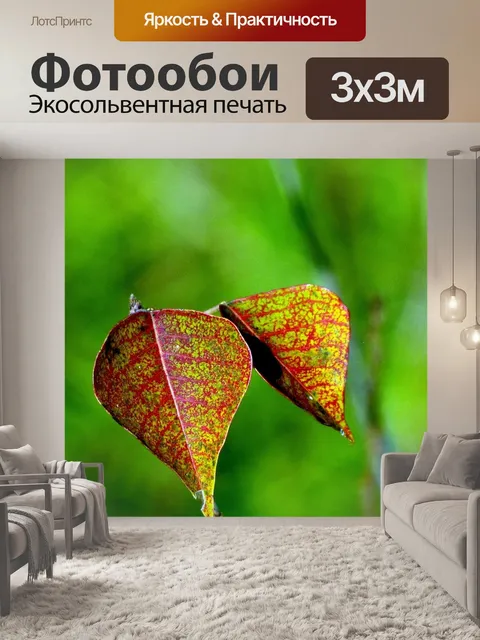 Фотообои Листья