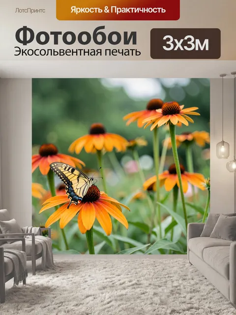 Фотообои Бабочка на оранжевых эхинацеях