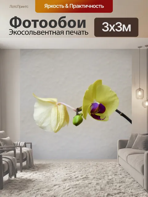 Фотообои Орхидея