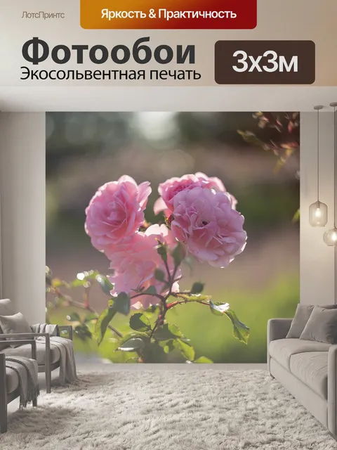 Фотообои Розы