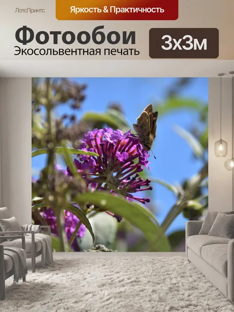 Фотообои бабочка на лаванде