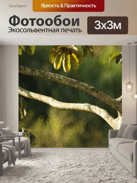 Фотообои Картина