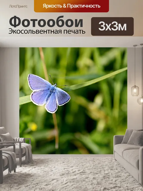 Фотообои Голубоватый