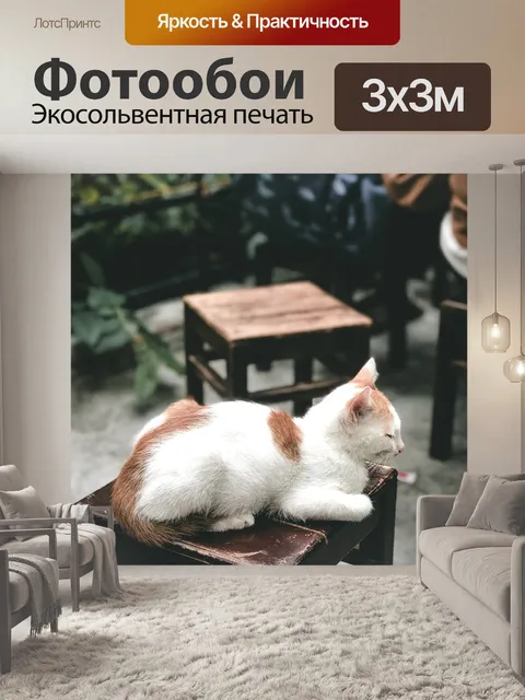 Фотообои Кошка