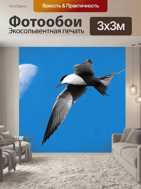 Фотообои Луна